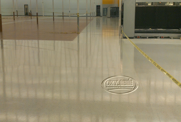 Calgary Floor Strip-Wax